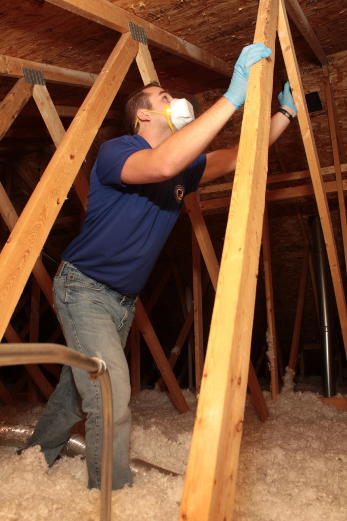 Insulation Removal